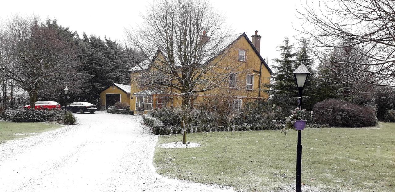 Newlands Lodge Kilkenny Exterior foto